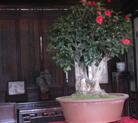 Image00003.jpg