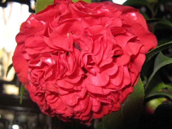 Image00010.jpg