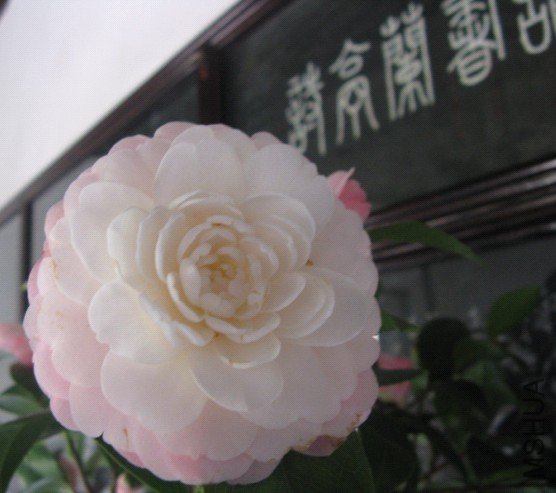 Image00001.jpg