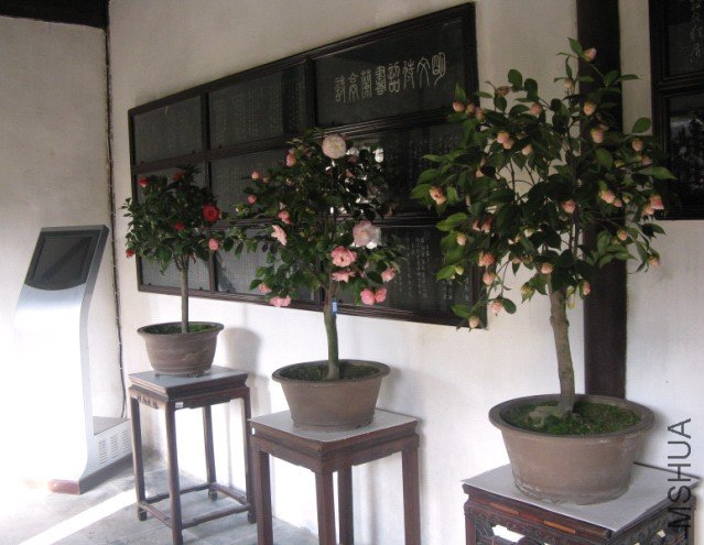 Image00005.jpg