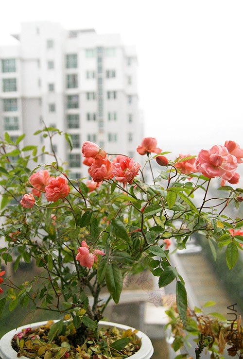 ��Ƭ 028.jpg