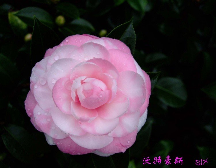 ���غ�˹10-3-4 (3).jpg