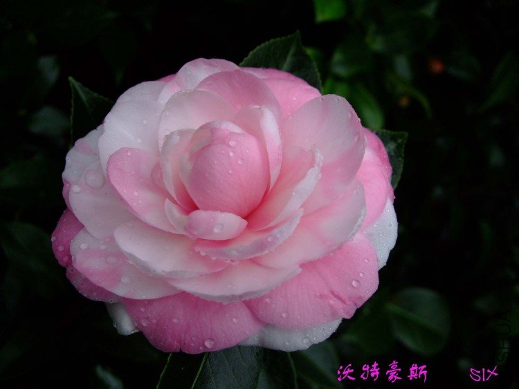 ���غ�˹10-3-4 (4).jpg