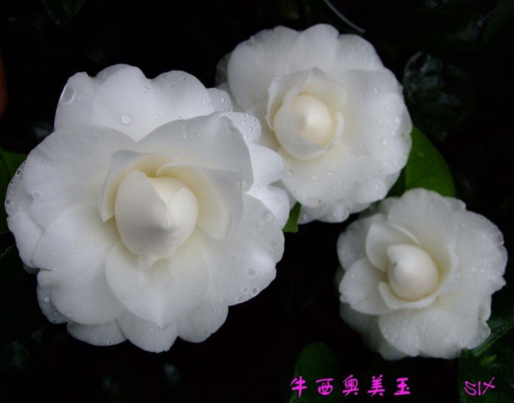 ţ��������10-3-4 (3).jpg