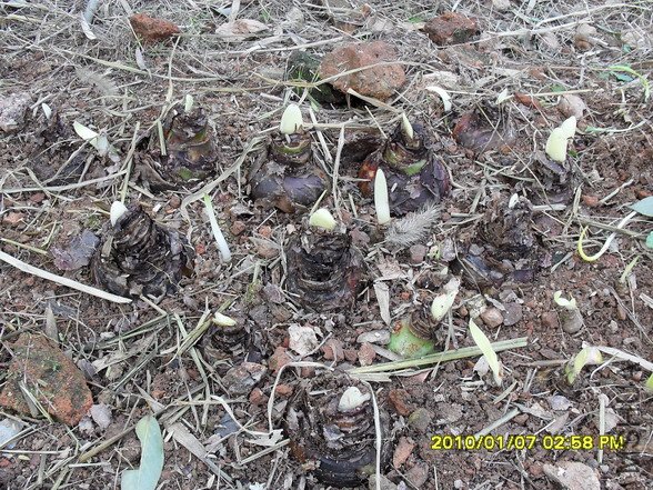 ����ǲ�Խ������