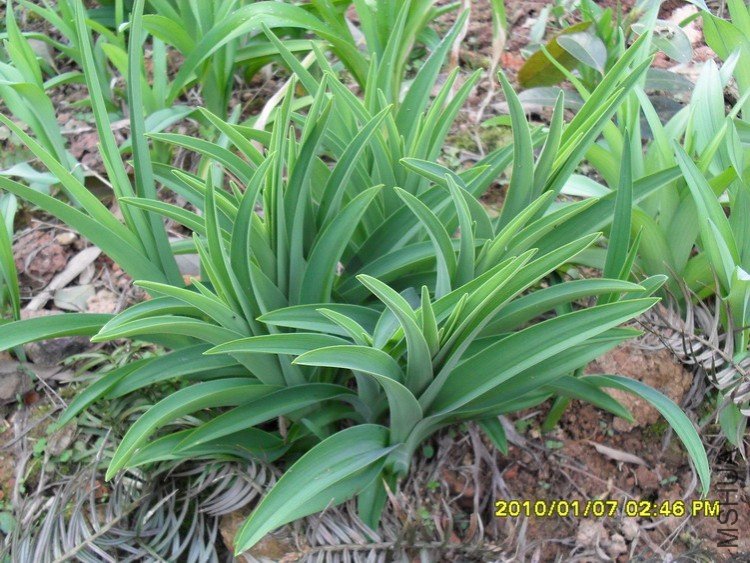 ���ر���Ư������ѿ