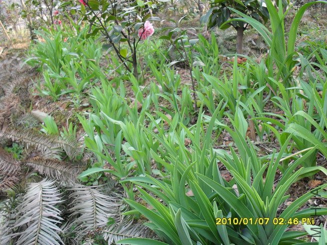 �౶��Ʒ��Ⱥ��