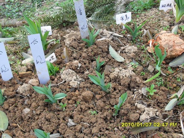 �ұߣ�����+��������