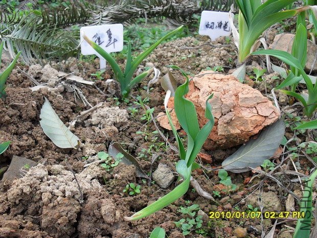 ��������+���;�