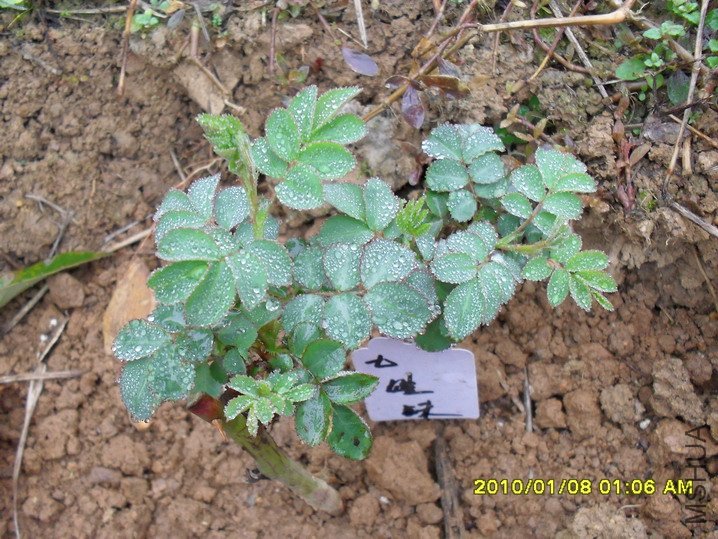 ��Ǿ΢���߽���