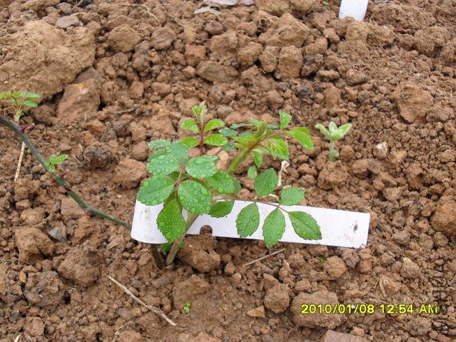 �������������