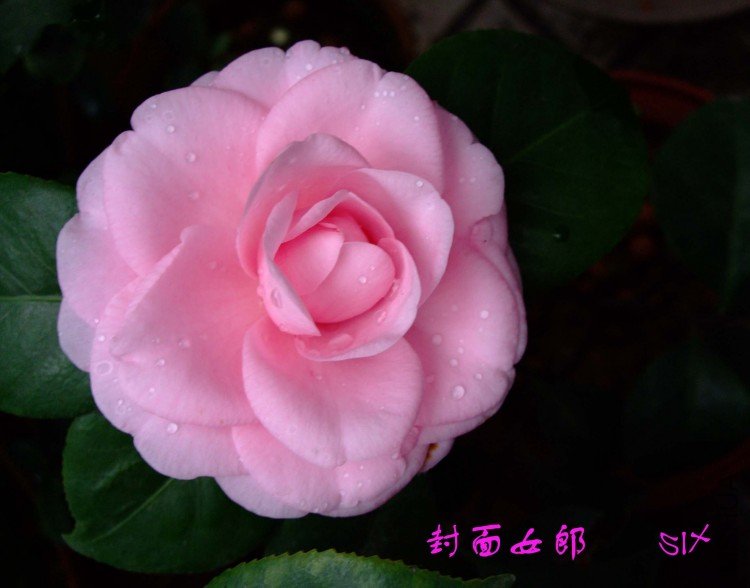 ����Ů�� 10-3-4(1).jpg