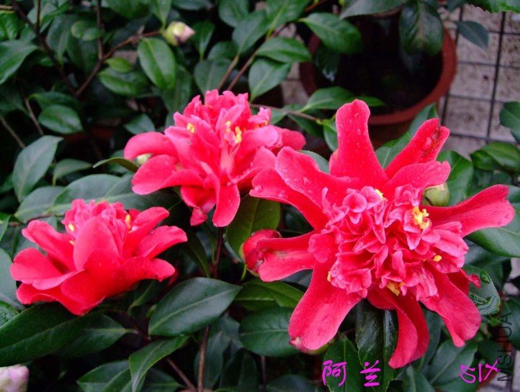 ���� 10-3-4 (2).jpg