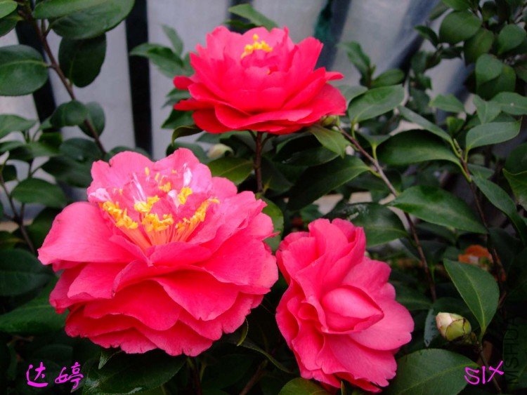 ���� 10-3-4(2).jpg