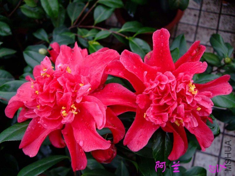 ���� 10-3-4(1).jpg