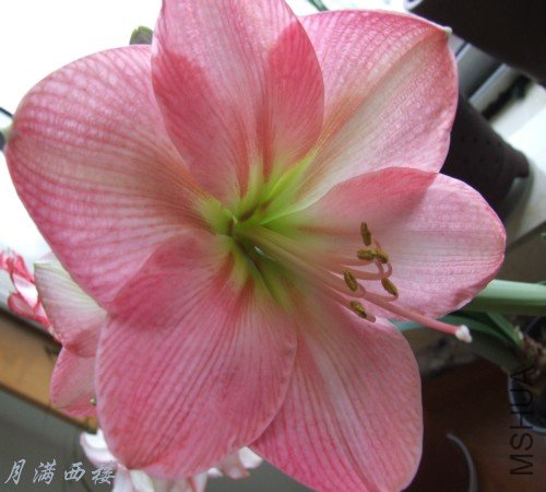 DSCF8392_����.JPG