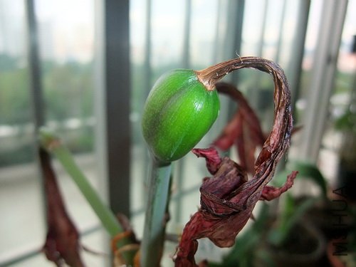 2010-3-4 (����1��)