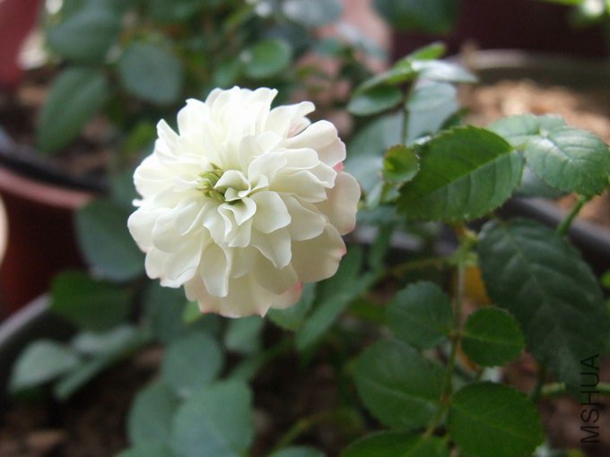 DSCF5500.jpg