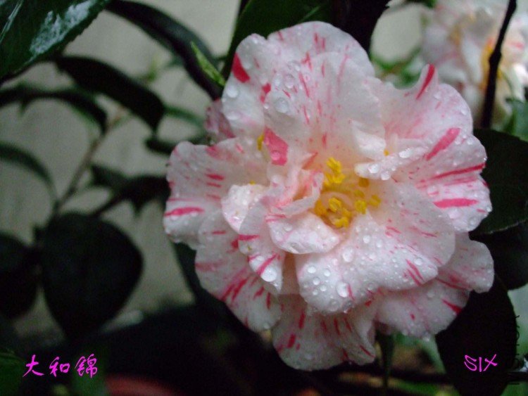 ��ͽ� 10-3-6(1).jpg