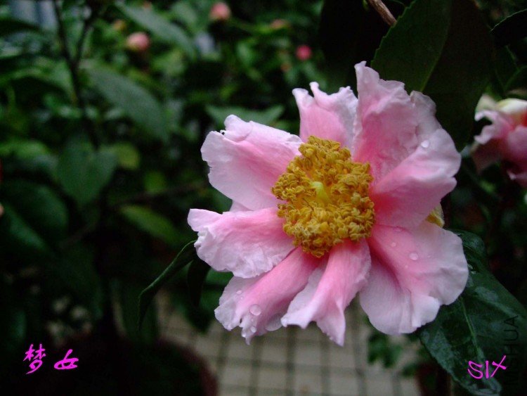 ��Ů 10-3-6(1).jpg