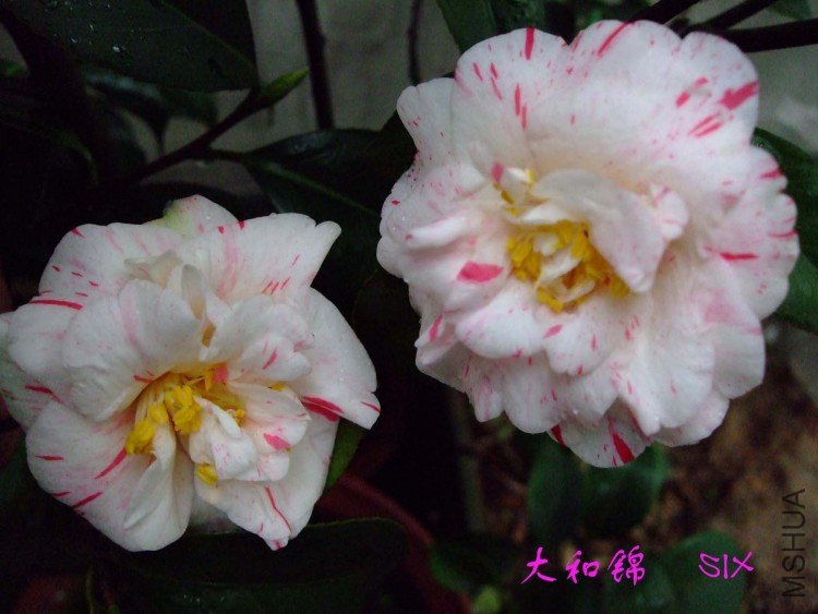 ��ͽ� 10-3-6 (2).jpg