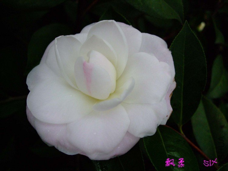 Ʈ�� 10-3-6(1).jpg