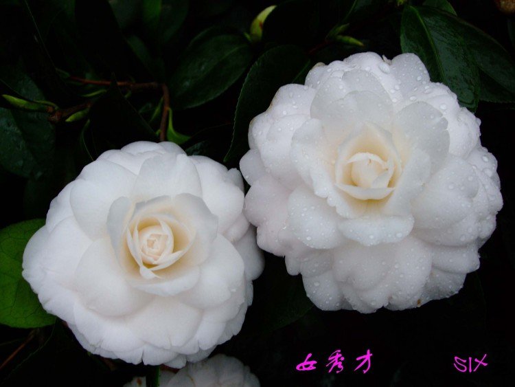 Ů��� 10-3-5 (1).jpg