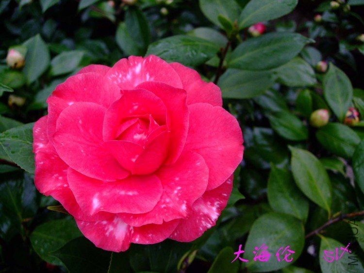 ���� 10-3-5 (2).jpg