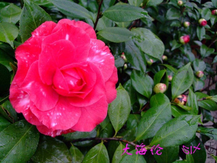 ���� 10-3-5 (1).jpg