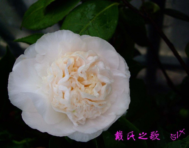 ����֮�� 10-3-5 (2).jpg