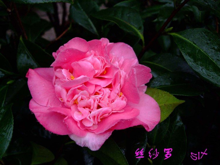 ˿ɴ��  10-3-5 (1).jpg