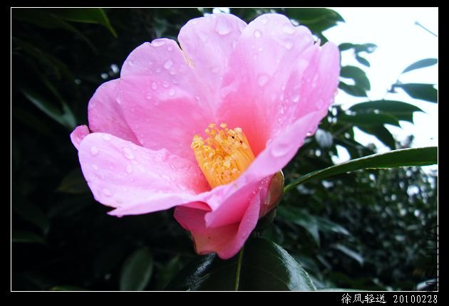 DSCF4547.JPG