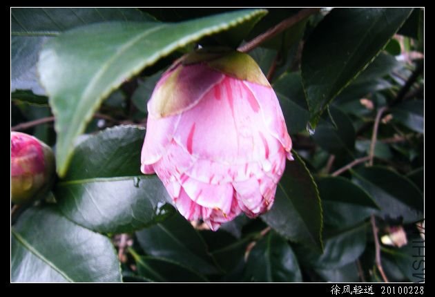 DSCF4553.JPG