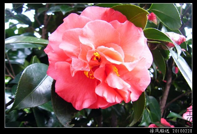 DSCF4551.JPG