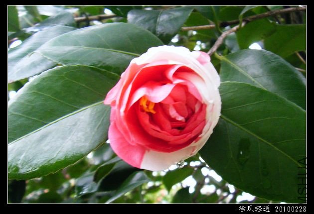 DSCF4543.JPG