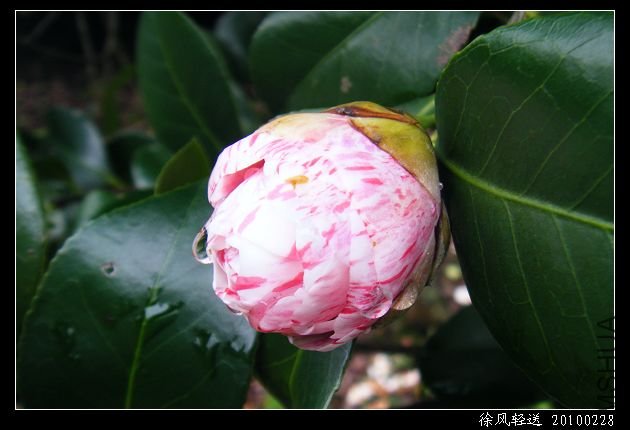 DSCF4545.JPG