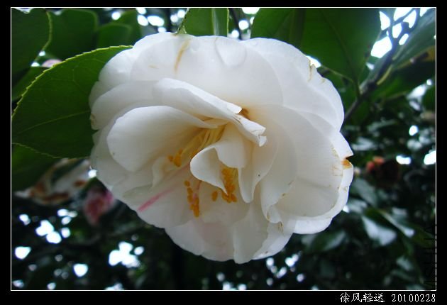 DSCF4546.JPG