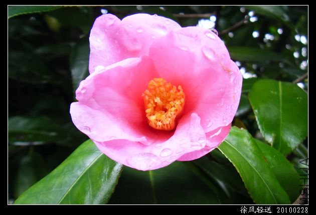 DSCF4548.JPG