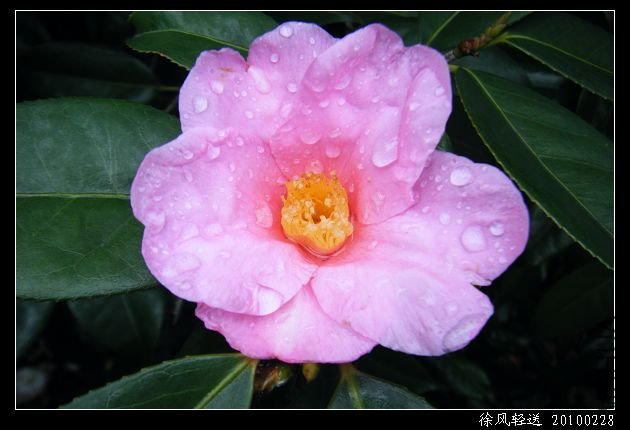 DSCF4549.JPG