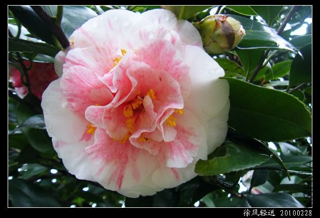 DSCF4544.JPG