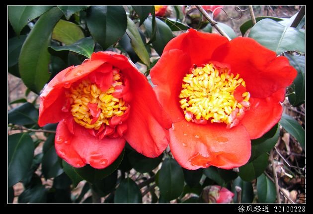 DSCF4557.JPG