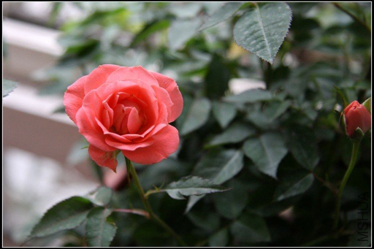 48������һ����ɫ�ģ�Ҳ����.jpg