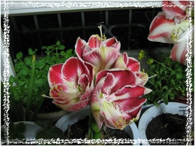 10�껨�� 102.jpg