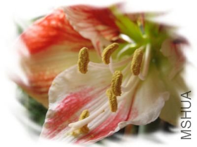 10�껨�� 050.jpg