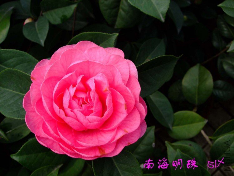 �Ϻ����� 10-3-7f.jpg