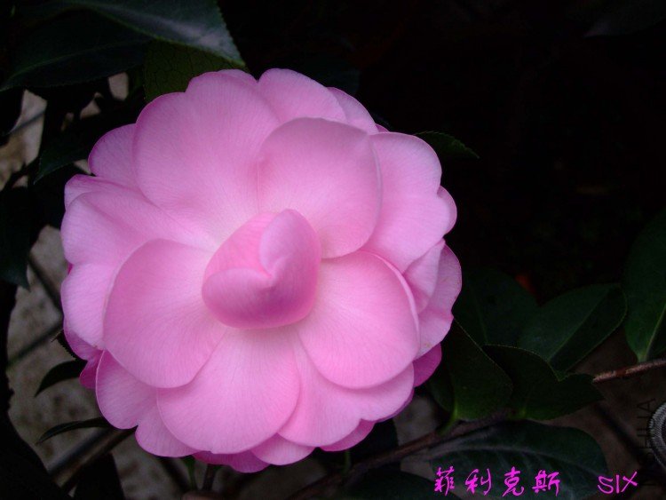 ������˹ 10-3-7f(1).jpg