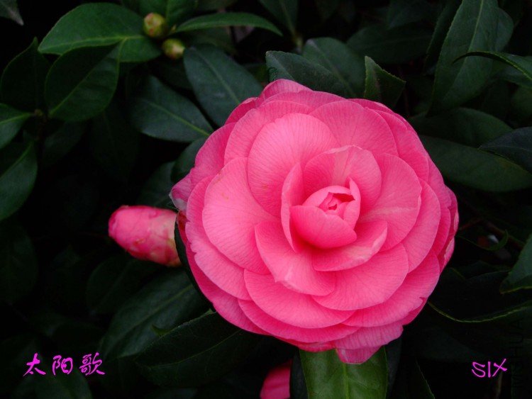 ̫���� 10-3-7f.jpg