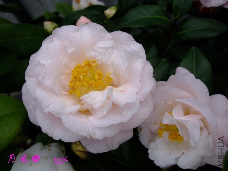 �¹��� 10-3-7f.jpg