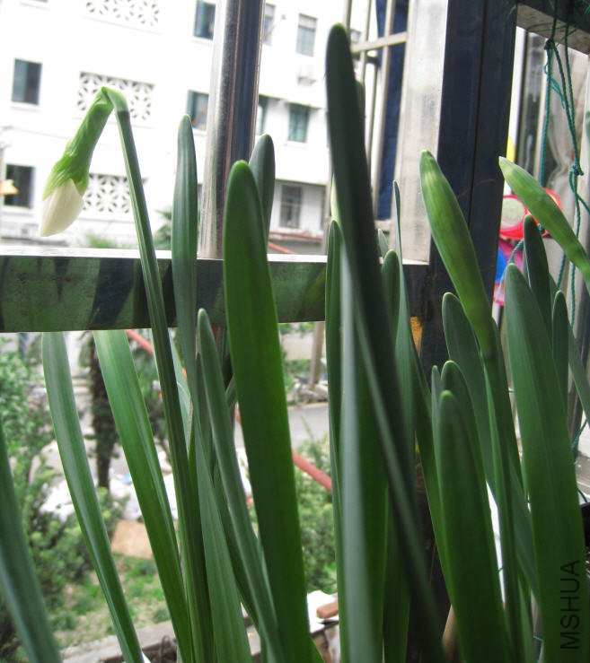 2010-03-07 ��������ˮ��.jpg