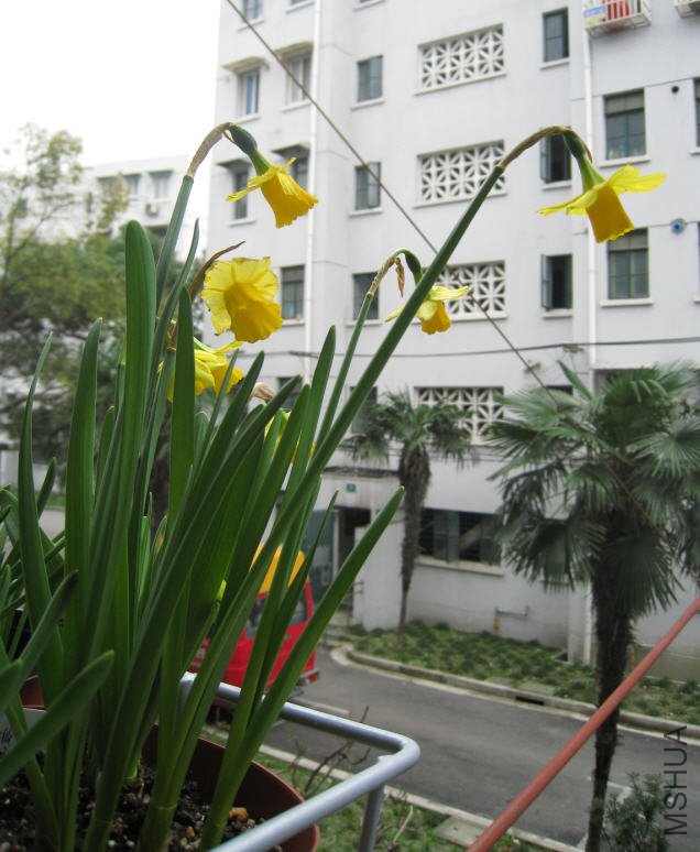 2010-03-07 �ɿ�����ˮ��.jpg